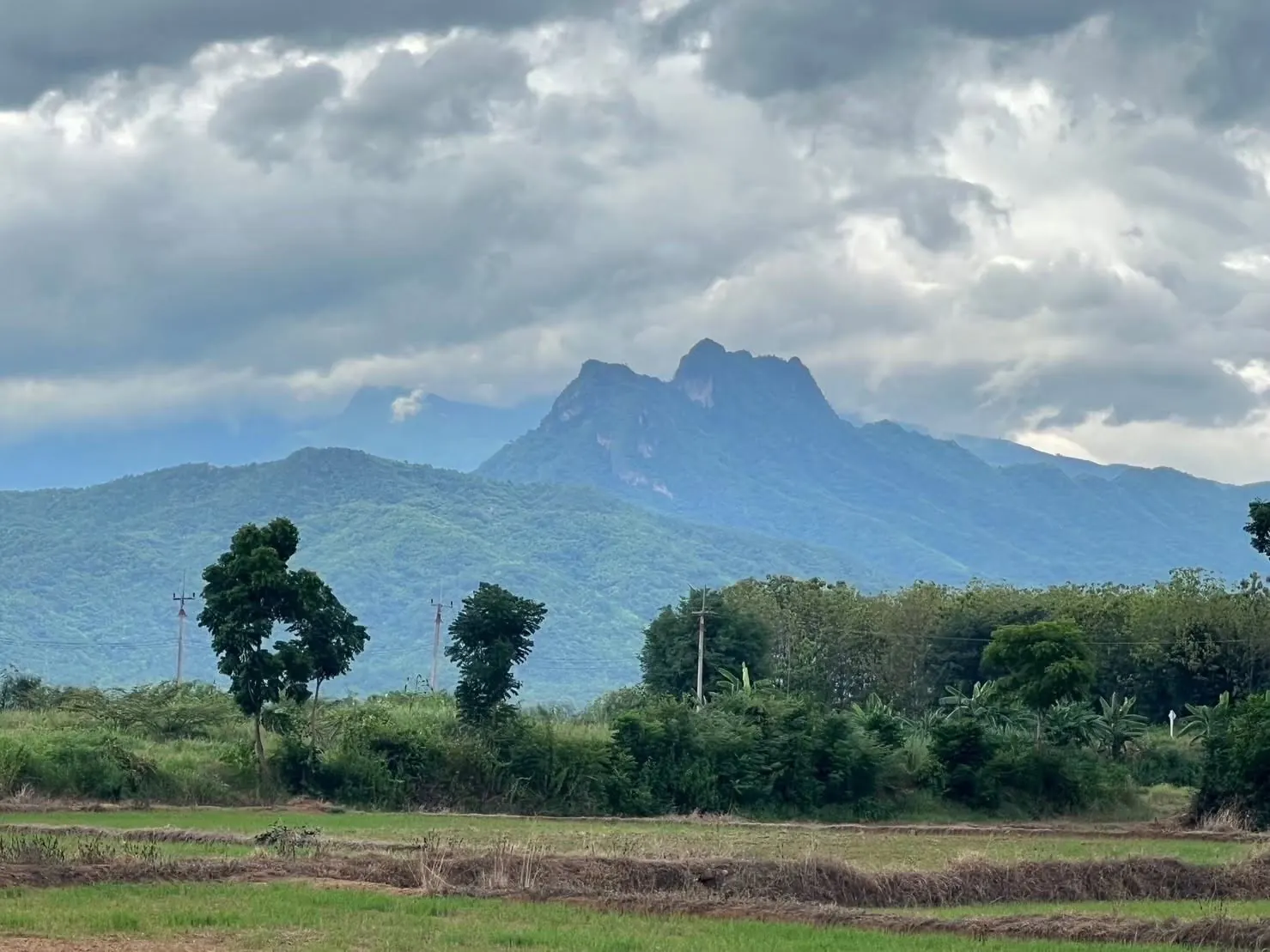 ขายที่ดินวิวภูเขา ทำเลสวย ติดถนนสาย21 เลี่ยงเมืองหล่มสัก 112 ไร่